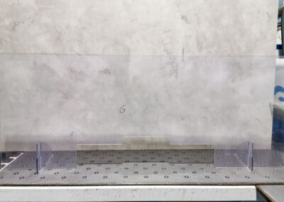 Infektionsschutz, Frontanischt