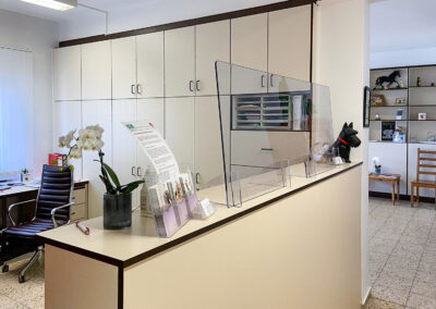 Infektionsschutz, Empfang 2